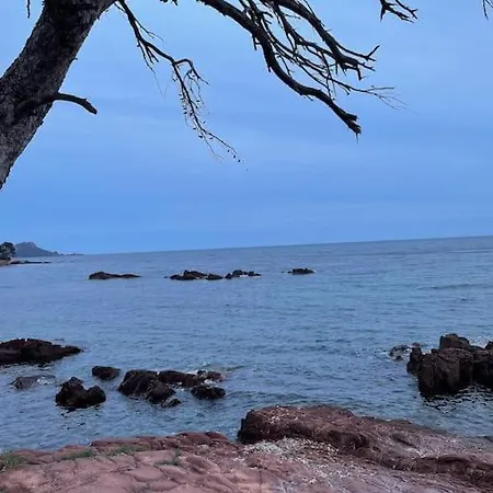 Au Milieu Des Pins A 5 Min A Pied De La Plage! Apartment